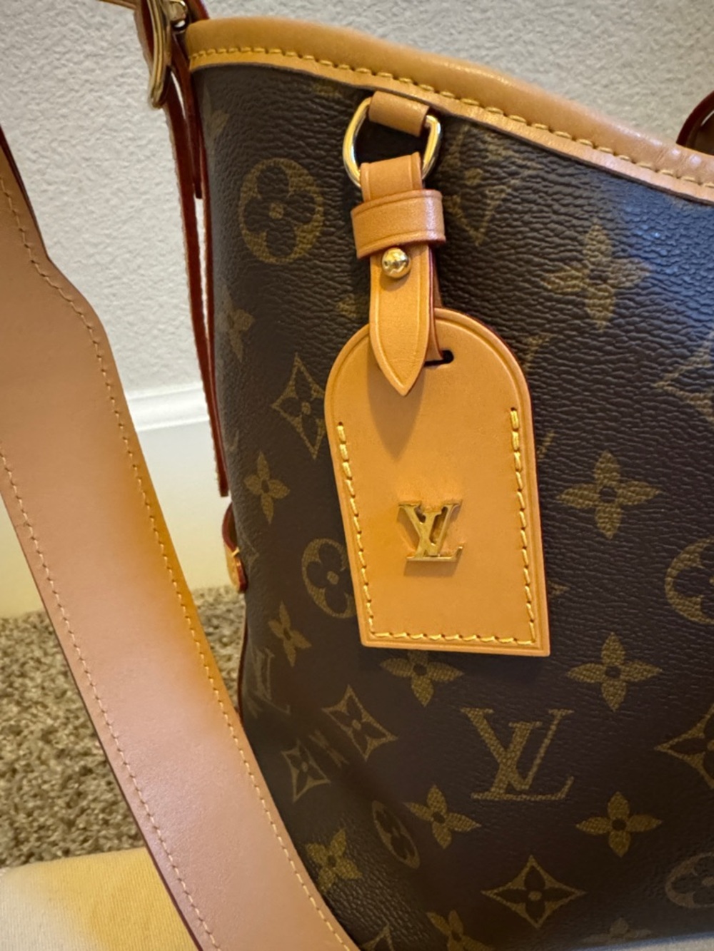 AUTHENTIC LOUIS VUITTON CARRYALL PM - Picture 3 of 12